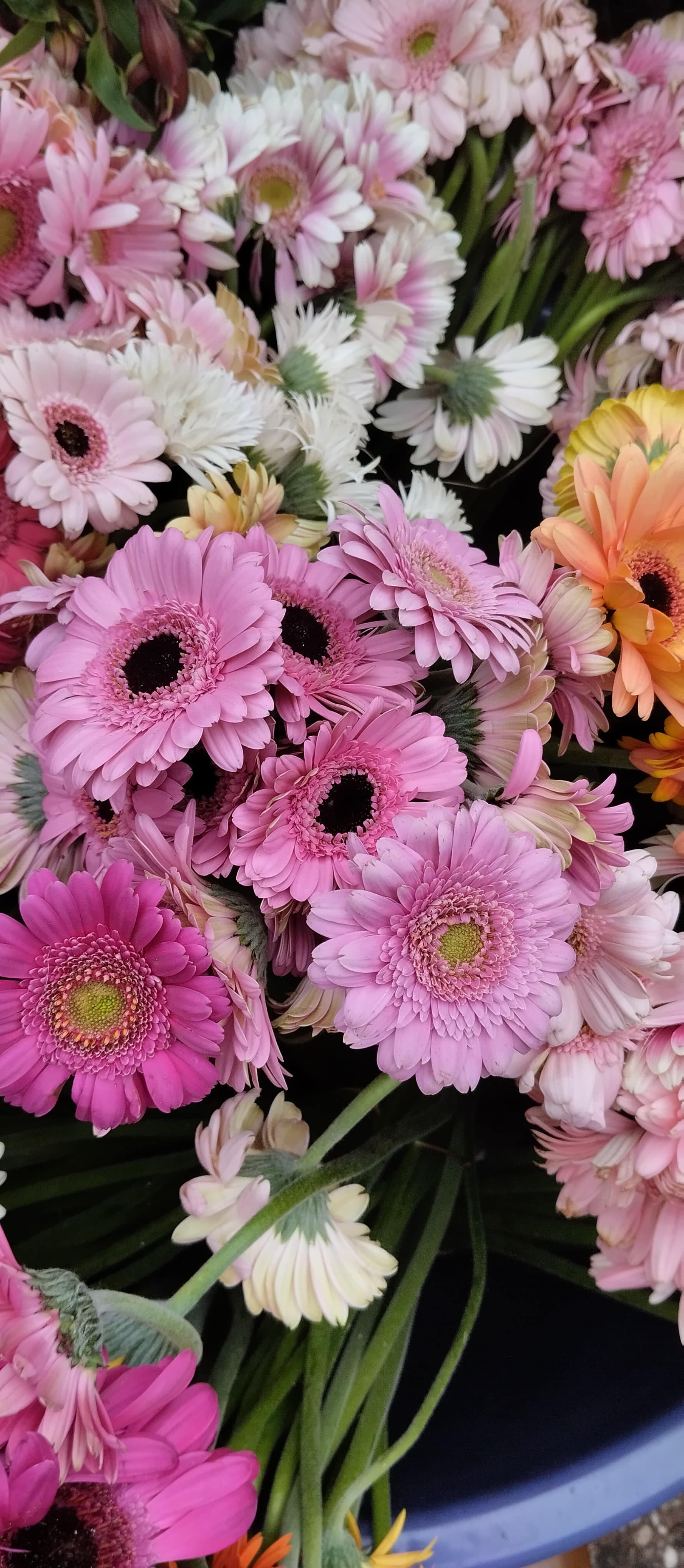 Buruburu flower centre